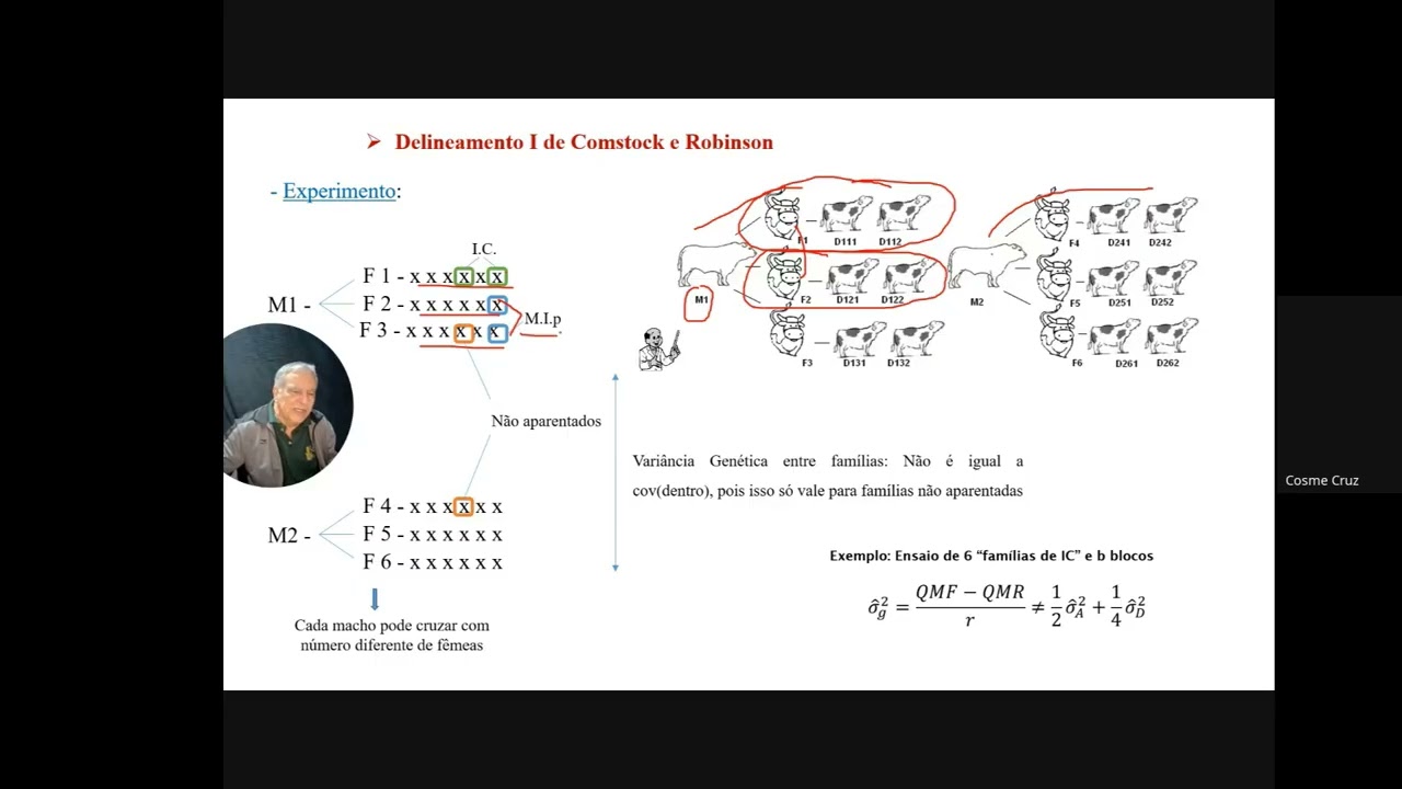 MGV3704 Genética Quantitativa Aula 12