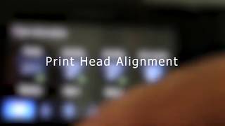 Celebrity How to Align Print Head Wealth