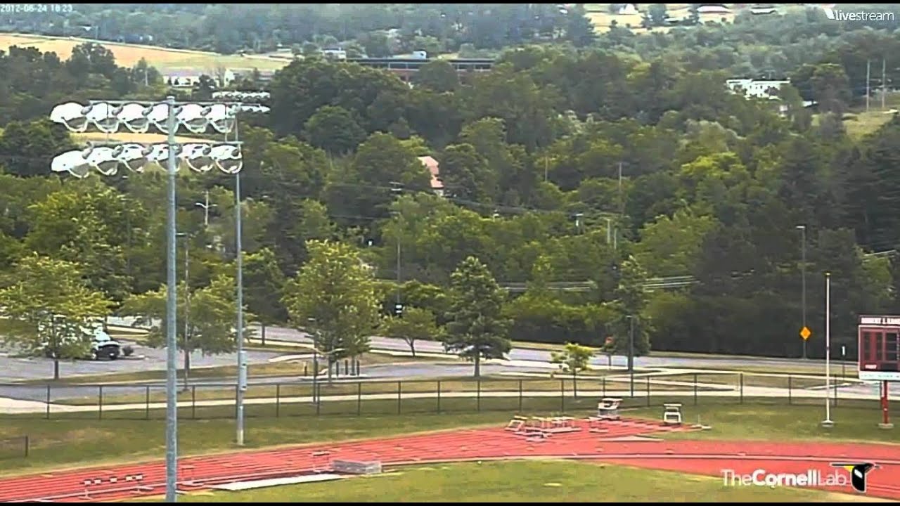 Cornell U RTH cam Jun  24