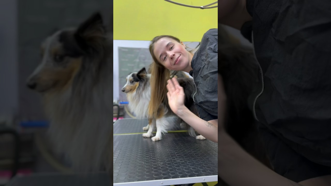 Есть тут обладатели данной породы?)) 