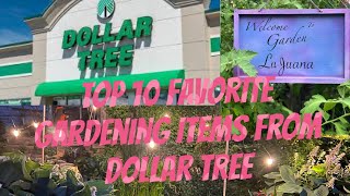 Top 10 favorite garden items from Dollar Tree