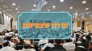כוונת התפילין ומקום תפילין של יד ודין שמאלי | שיעורו של הרב אליעזר מלמד