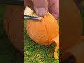 Oddly Satisfying Fruit Cutting - Hyper-Realistic ASMR Experience!