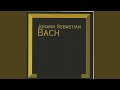 Miniature de la vidéo de la chanson Brandenburgisches Konzert No. 1 F-Dur, Bwv 1046: Ii. Adagio