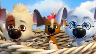 Белка и Стрелка 💥 Все серии подряд (сборник 3) 🐶 Развивающий мультфильм для детей
