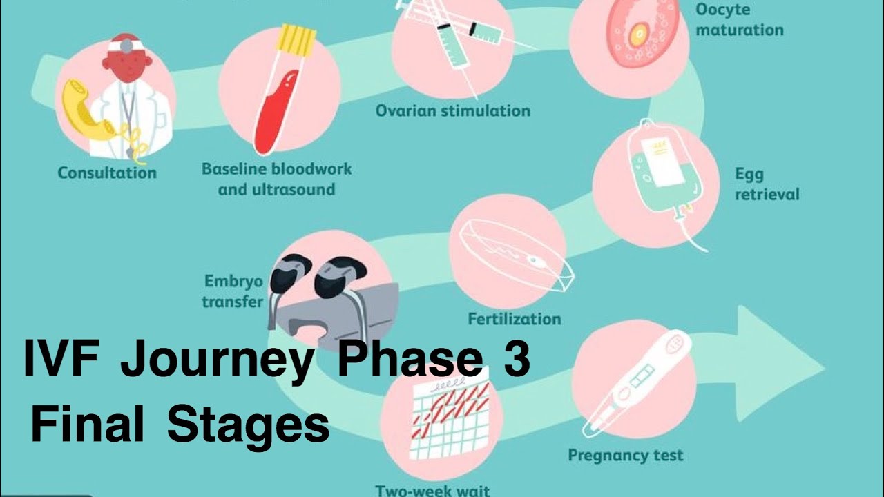 typical ivf journey