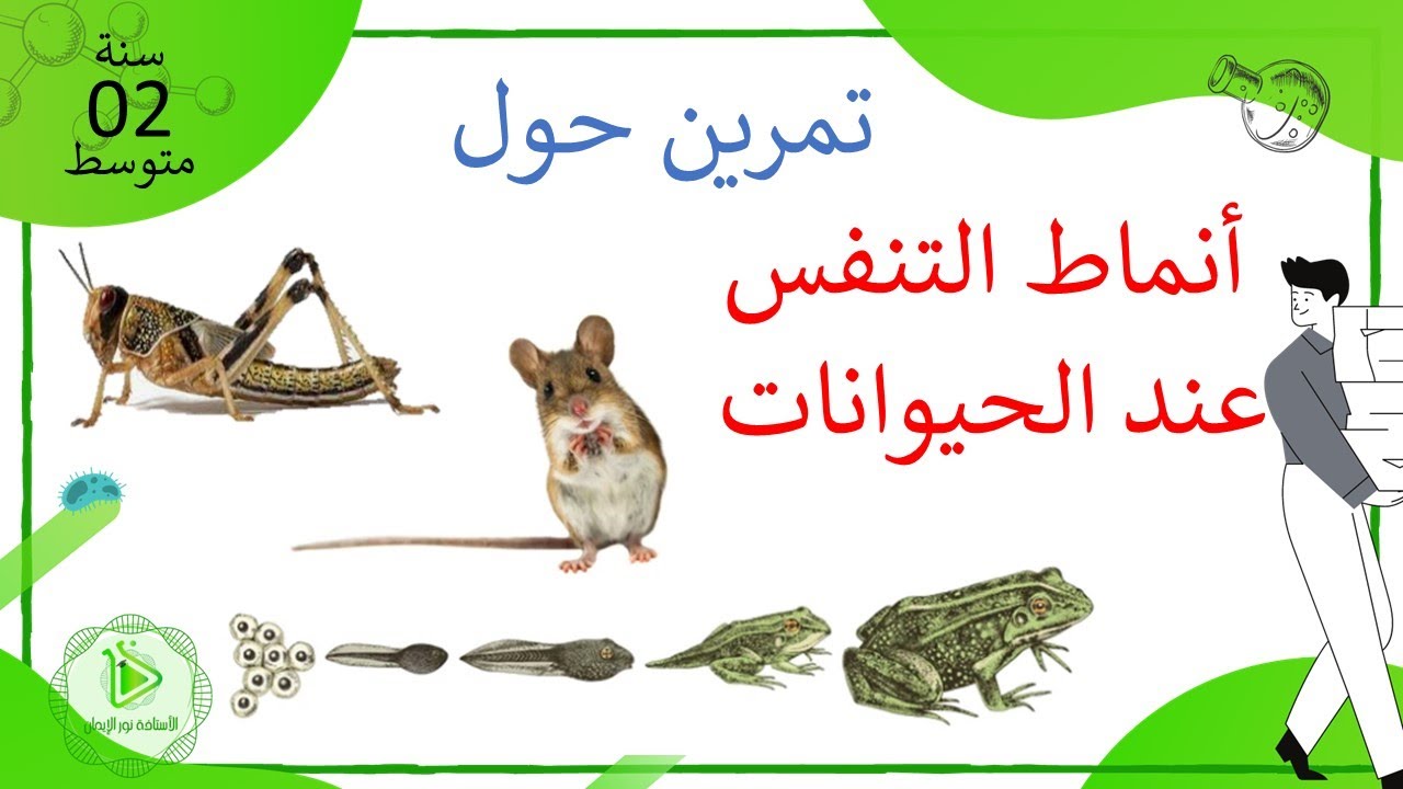 تمرين حول أنماط التنفس عند الحيوانات علوم طبيعية سنة 02 متوسط