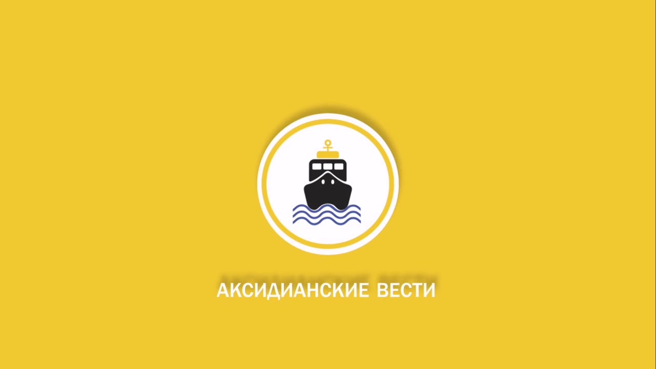 Сколько вести ока