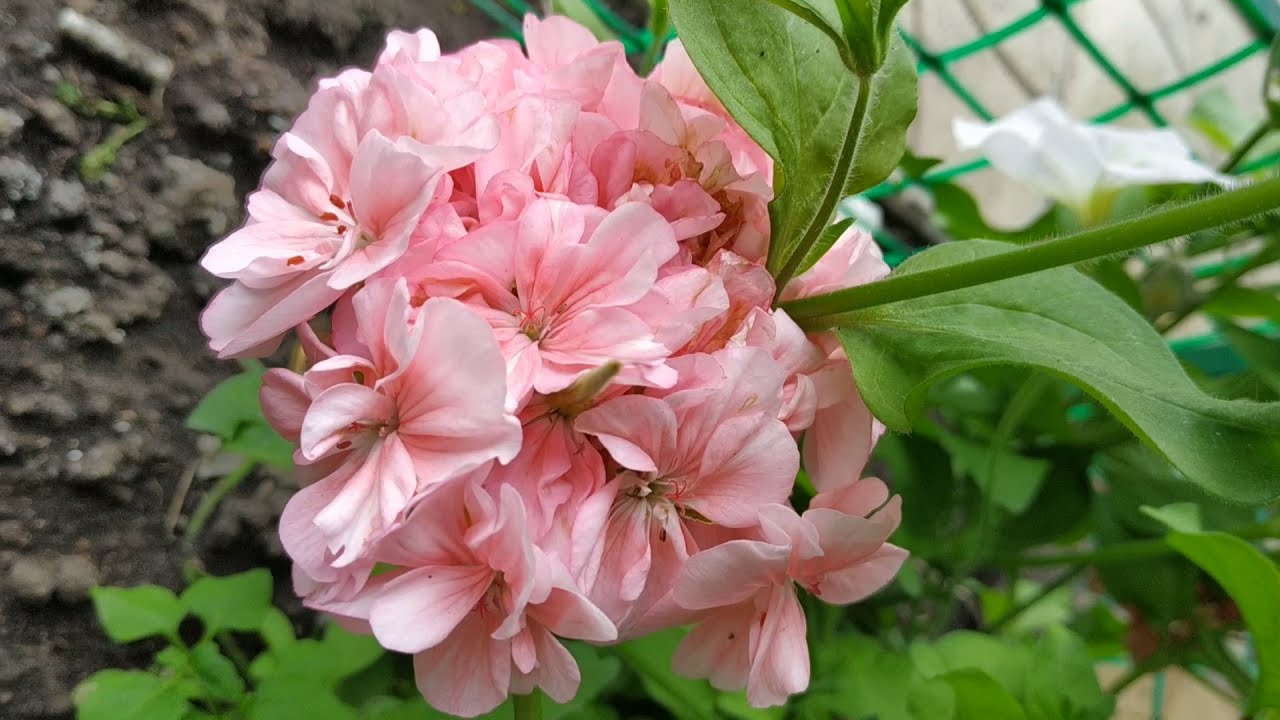 Русский отель  أوتيل روسي. Russian hotel 러시안 호텔 ❤️