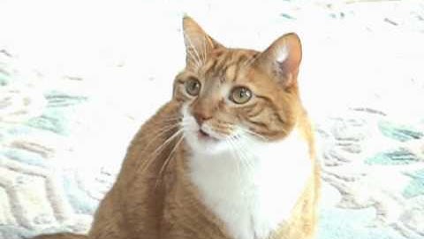 Shortest Video on Youtube Part 7