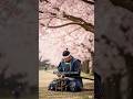 Letting go is important  #shorts #selfhelp #samurai