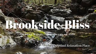 Serene Brookside Bliss