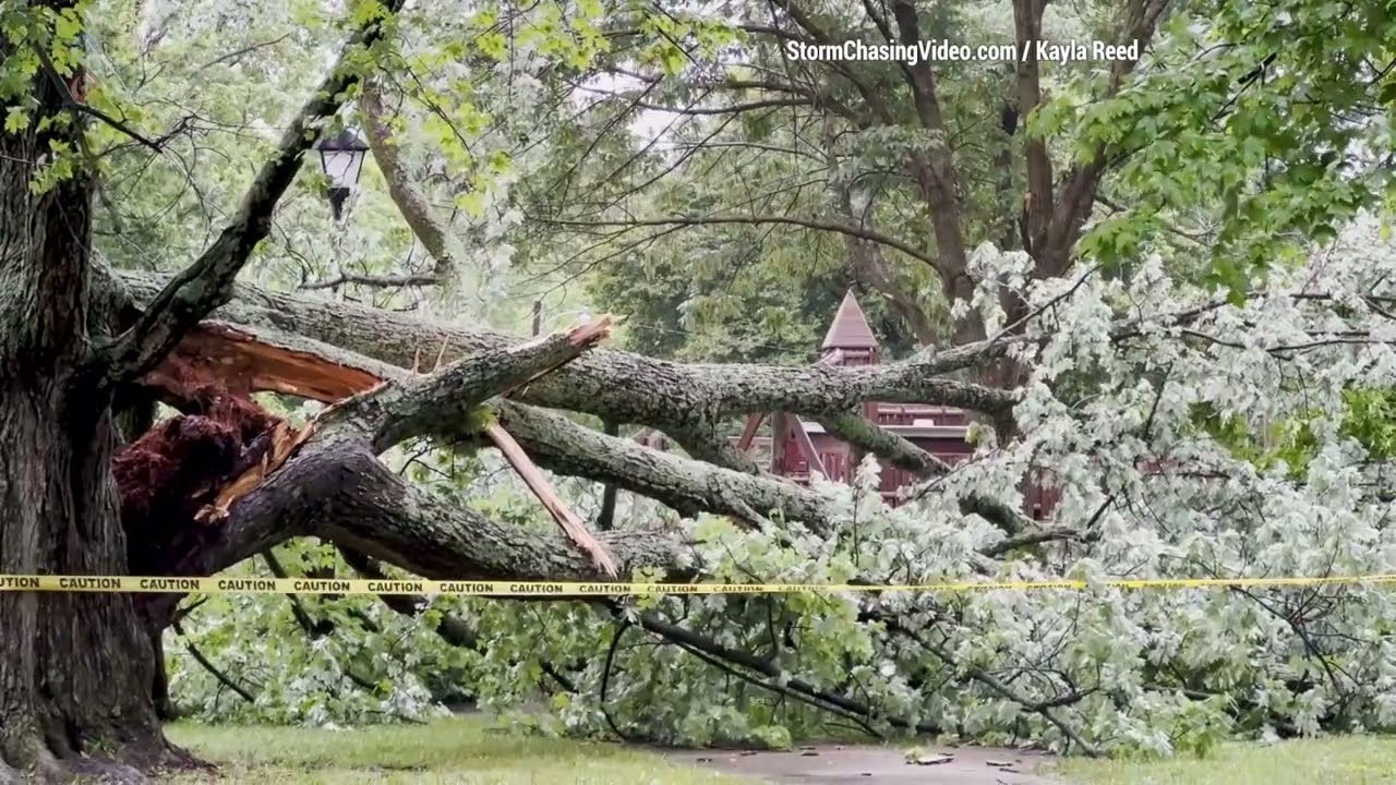 Derecho Aftermath (huge wind event) hits Eastern Indiana - 6/29/2023