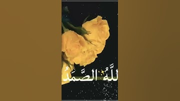 عآمـر آلكآظـمـي سورة الاخلاص