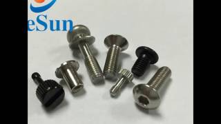 Hexagon socket set securing screws