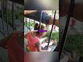 Hero Cops Free Toddler Trapped in Railing❤️