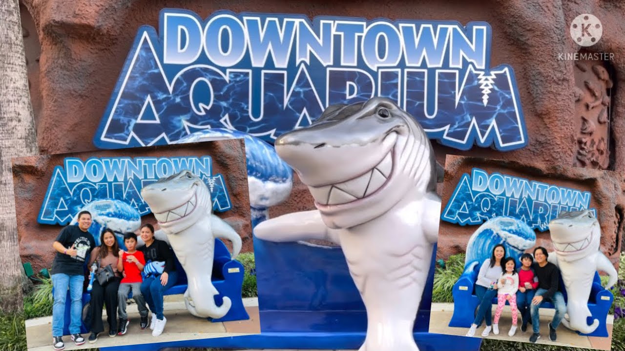 downtown-aquarium-part-1-when-in-houston-team-genovea-s-underground