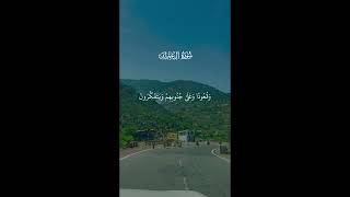 সূরা আলে ইমরান, সূরা আল ইমরান, আল ইমরান, Surah Al Imran, imran, সূরা, surah imran, surah al imran