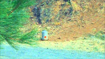 Shockwave exploding target