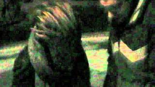 ASA - BE MY MAN -  INTERNATIONAL
