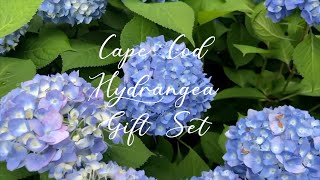 Cape Cod Hydrangea Gift Set | LaBelle Cape Cod