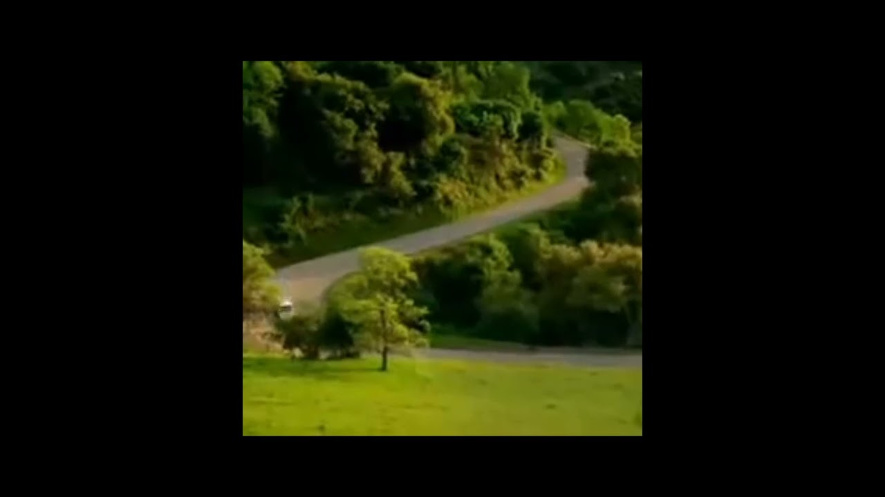 Screamer MUY aterrador