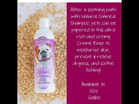 Bio-Groom Oatmeal Shampoo Sale