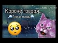 Кошка Лана видео про Кошку Лану Короче говоря плохая погода