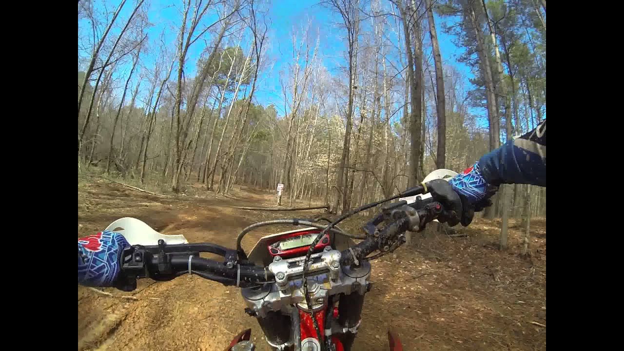 moose 1,2,3 mark steve carv