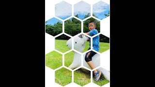 2023 09 27利用ppt將圖片及圖案合併