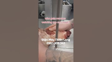 Máy Cưa Xương Cắt Thịt Cá Đông Lạnh ALPHA | Điện Máy Thiên Long📞0️⃣7️⃣9️⃣7️⃣8️⃣6️⃣8️⃣7️⃣8️⃣8️⃣