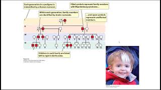 Pedigree Analysis part 1