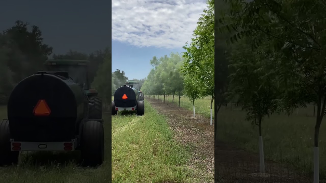 Pull type 1000 gallon air-blast sprayer