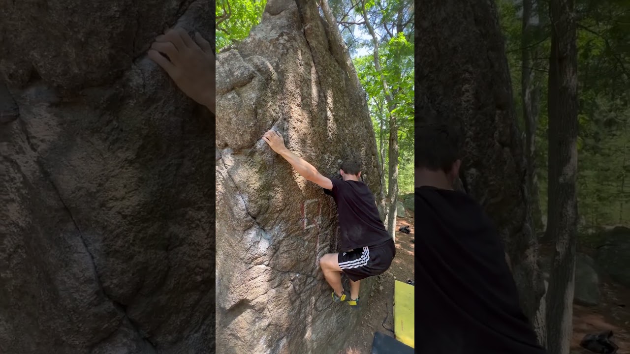 Queen’s Row Face V4