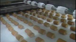 GorreriChannel  Sponge Cake Line  Mini Swiss Rolls Line