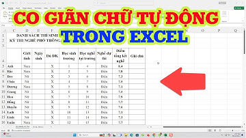 Thủ thuật co giãn chữ tự động vừa với ô trong Excel