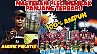 MASTERAN PLECI SEJALUR PANJANG TERBARU || ANDRE PEKATIK PLECI