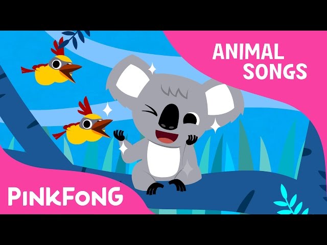 Koala Lalala | Koala | Animal Songs | Pinkfong Songs for Children class=