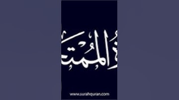 سورة الممتحنة (آرح قلبك وأستمع إلى القرآن الكريم)