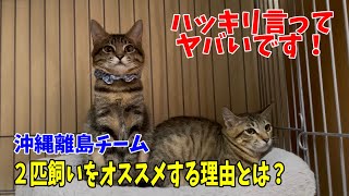 沖縄の離島からフェリーと飛行機でやって来た子達