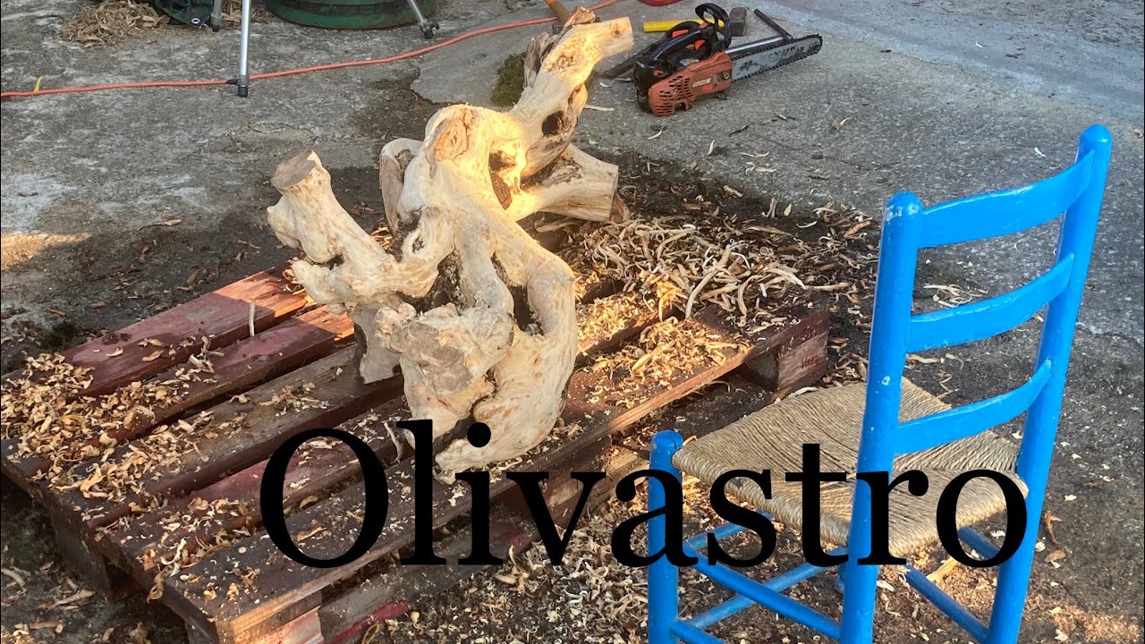 Olivastro che passione!