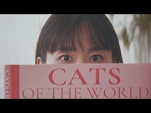 ひょっこりガッキー(いつもとちょっと雰囲気違う新垣結衣さん)