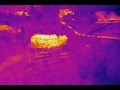 Flir test 1