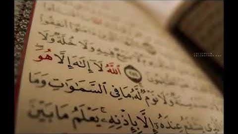 سورة الفجر الشيخ عبدالمحسن القاسم