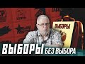 ВЫБОРЫ БЕЗ ВЫБОРА. ЦЕЛИ И РОЛИ УЧАСТНИКОВ. Сергей Переслегин