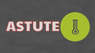 What Does ASTUTE Means || Meanings And Definitions With Example in ENGLISH