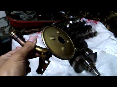 шеснарь в жигу