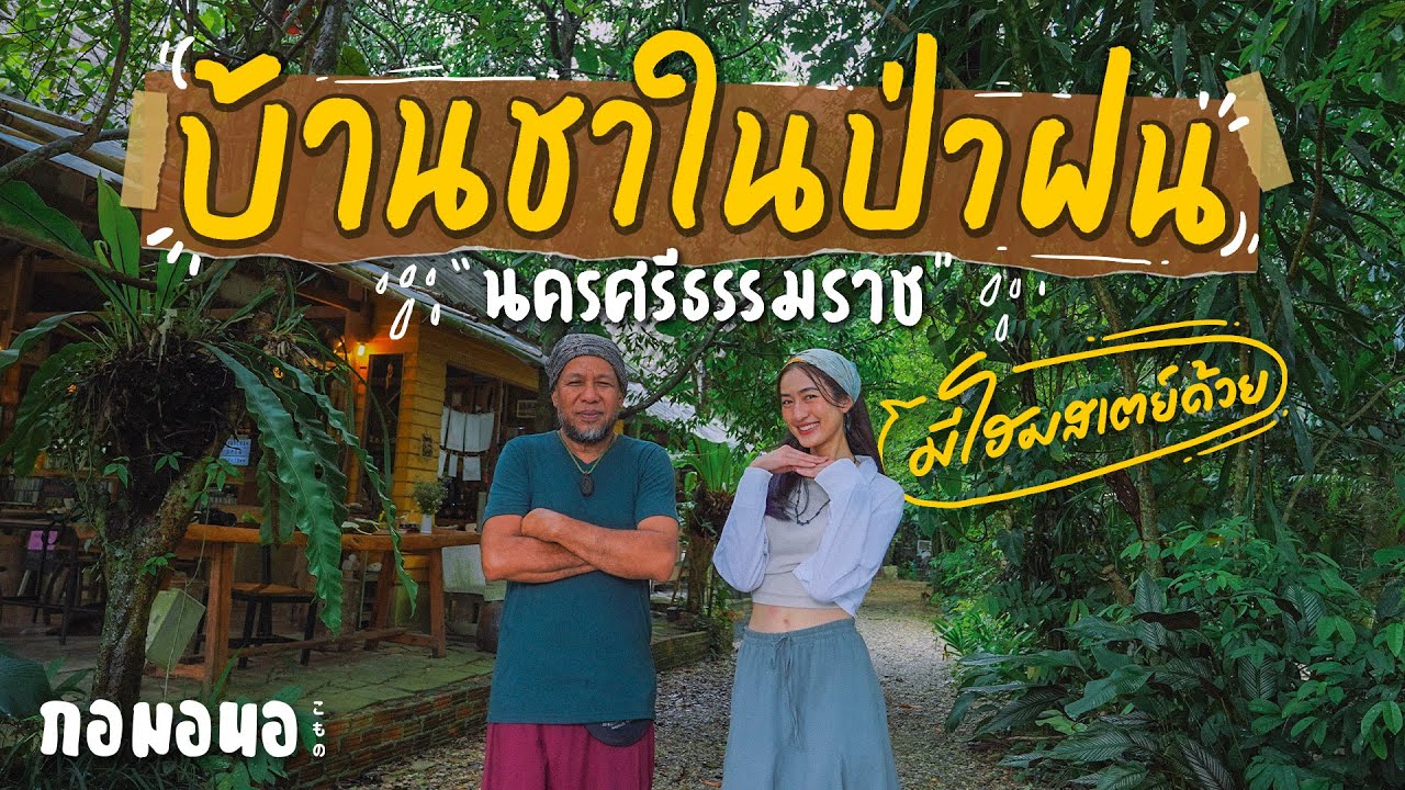 บ้านชาที่มีโฮมสเตย์ในป่าฝน  พรหมคีรี นครศรีธรรมราช l กอมอนอ