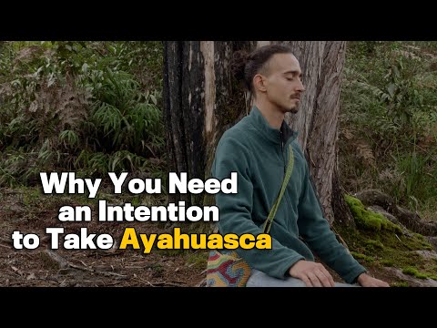 Why You Need an Intention to Take Ayahuasca | Colibri Garden x Healing Maps - video from Healing Maps