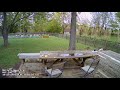 Nellys security nst1080pdm1 daytime backyard demo